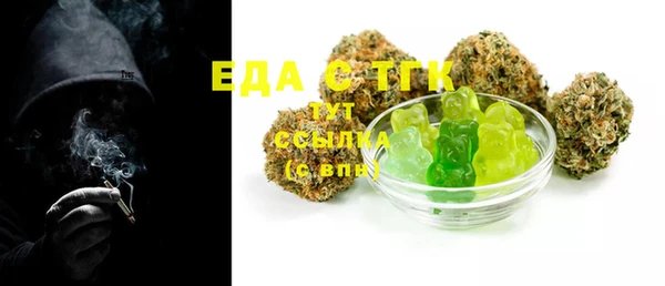 мдпв Богородицк