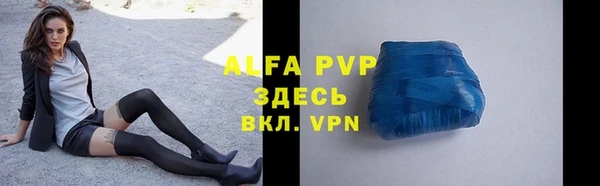 индика Белоозёрский