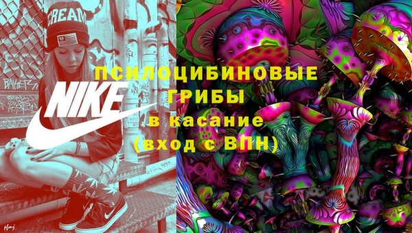 apvp Богородск