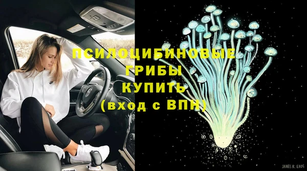 apvp Богородск