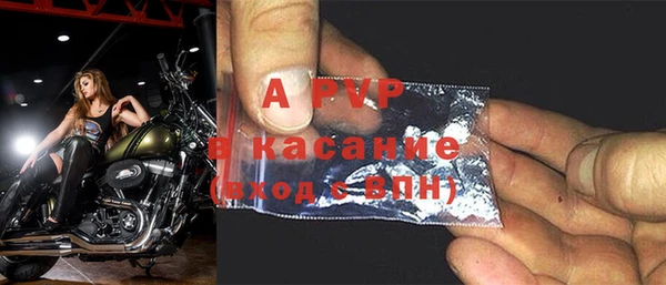 индика Белоозёрский